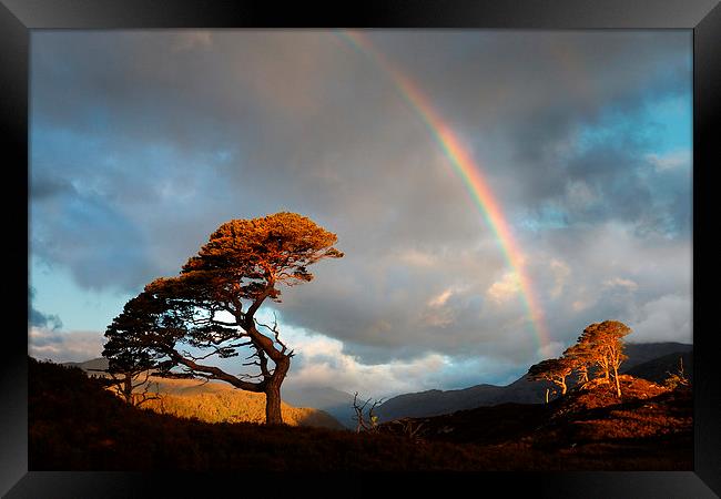 Glen Strathfarrar Framed Print by Macrae Images