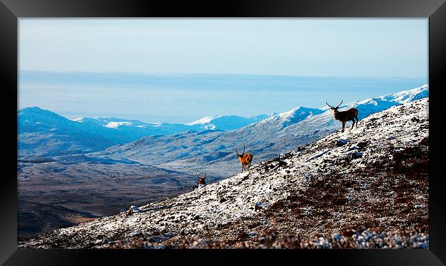 Winter in the Highlands Framed Print by Macrae Images
