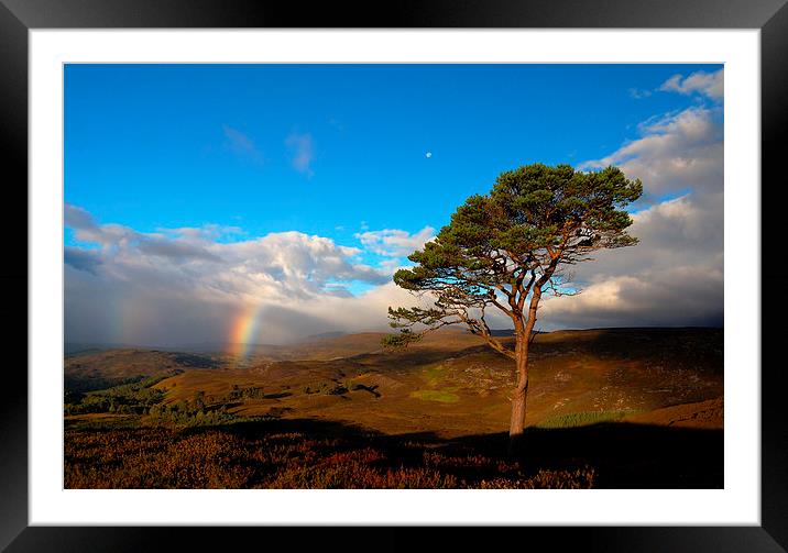 Caledonian colours Framed Mounted Print by Macrae Images