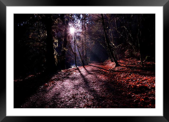 Reelig Glen Framed Mounted Print by Macrae Images