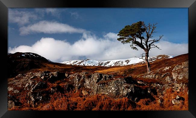 Glen Strathfarrar Framed Print by Macrae Images