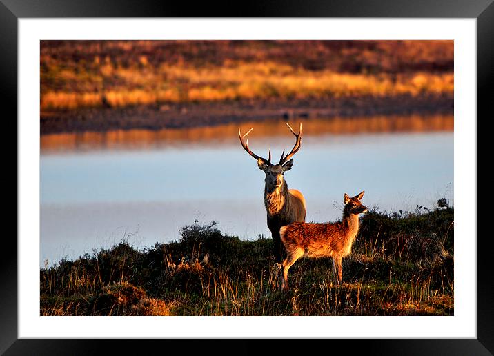  By the Lochside Framed Mounted Print by Macrae Images