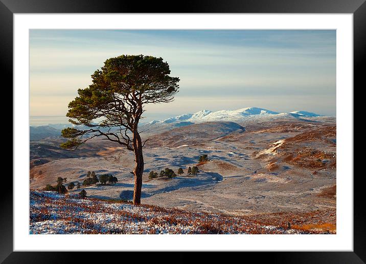  Winter in Strathglass Framed Mounted Print by Macrae Images