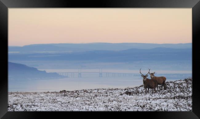 Dawn of a New Day Above the Beauly Firth Framed Print by Macrae Images