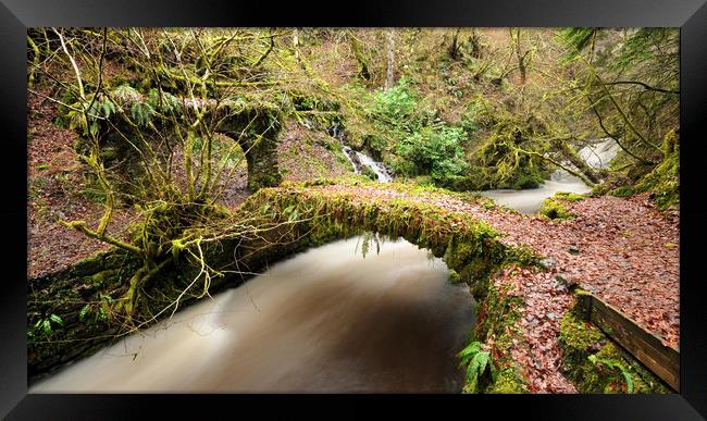 Reelig Glen Framed Print by Macrae Images