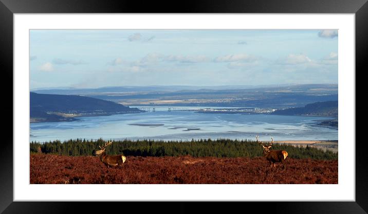 View down the Beauly Firth to Inverness Framed Mounted Print by Macrae Images
