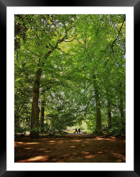 Ness Island Inverness Framed Mounted Print by Macrae Images