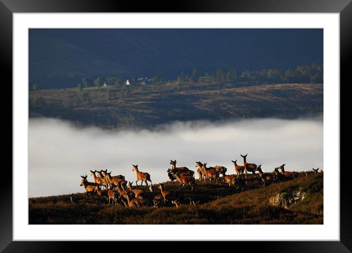Into the Mist Framed Mounted Print by Macrae Images