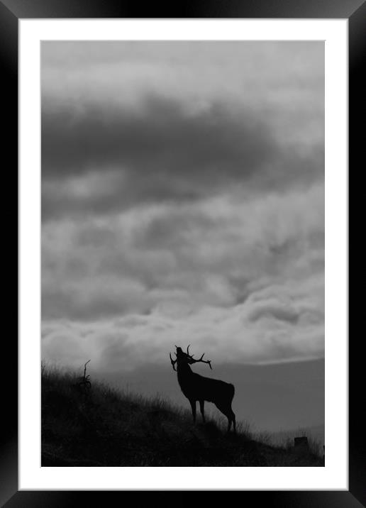 The Call of the North Framed Mounted Print by Macrae Images