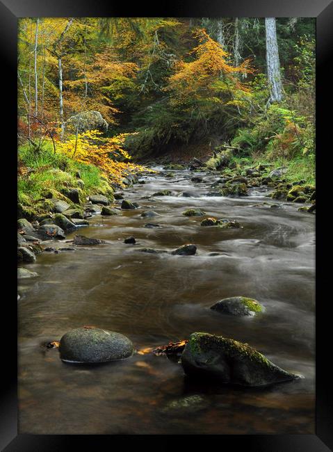 Reelig Glen Framed Print by Macrae Images