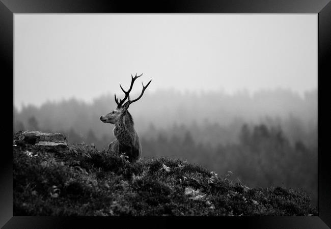 Above the Mist Framed Print by Macrae Images