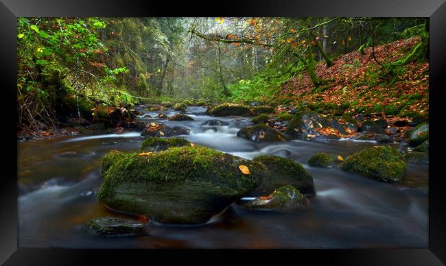 Reelig Glen Framed Print by Macrae Images