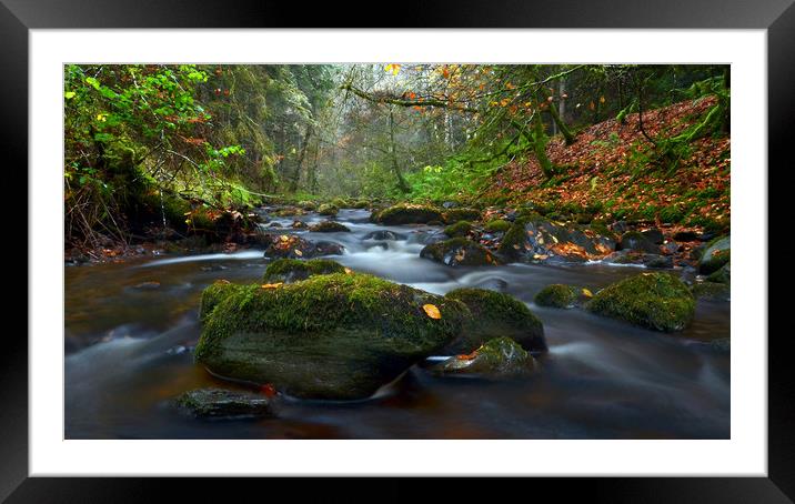 Reelig Glen Framed Mounted Print by Macrae Images