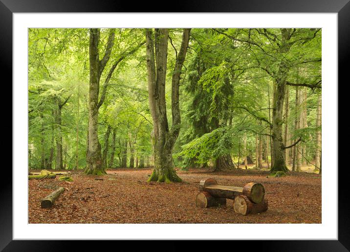 Reelig Glen Framed Mounted Print by Macrae Images