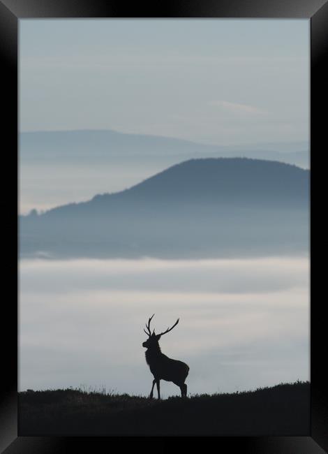 Foggy Silhouette  Framed Print by Macrae Images