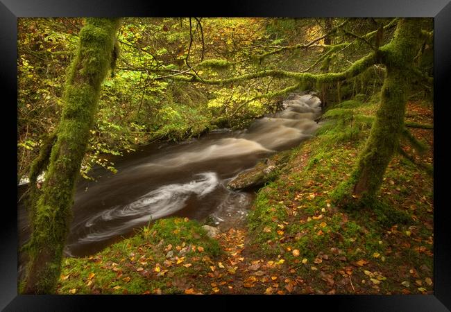 Reelig Glen Framed Print by Macrae Images