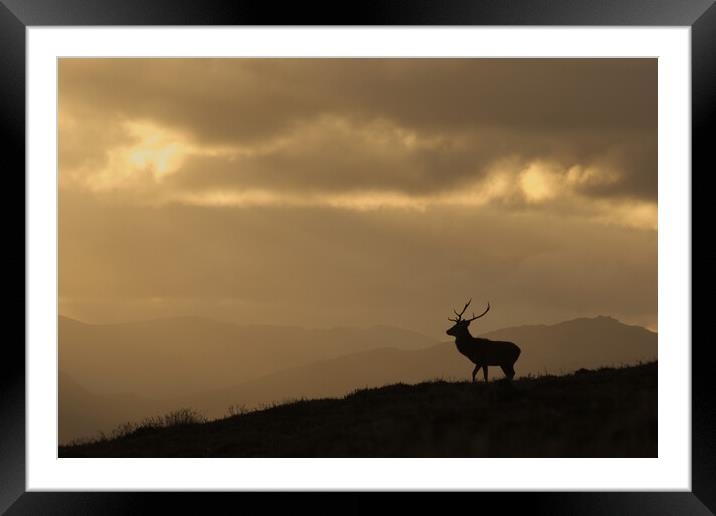 Strathglass Silhouette Framed Mounted Print by Macrae Images
