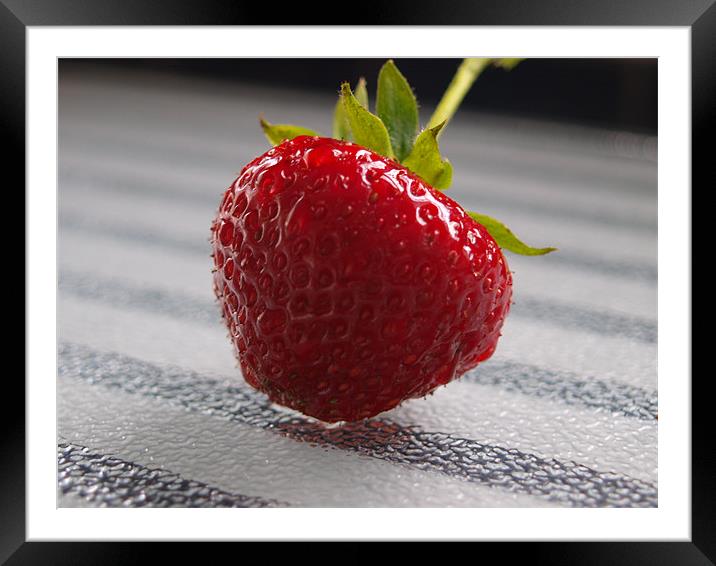 Red Strawberry Framed Mounted Print by andrew hall