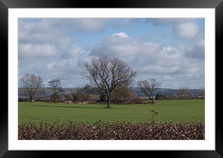 Field in East Yorkshire Revisited Framed Mounted Print by andrew hall