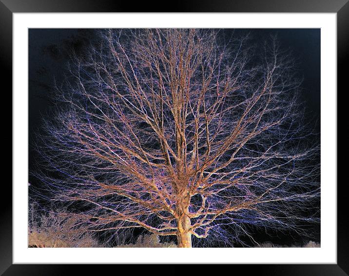 Dark Tree Framed Mounted Print by Yvette Harris
