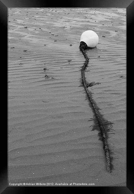 Beach Buoy Framed Print by Adrian Wilkins