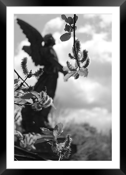 Spring Angel Framed Mounted Print by Adrian Wilkins