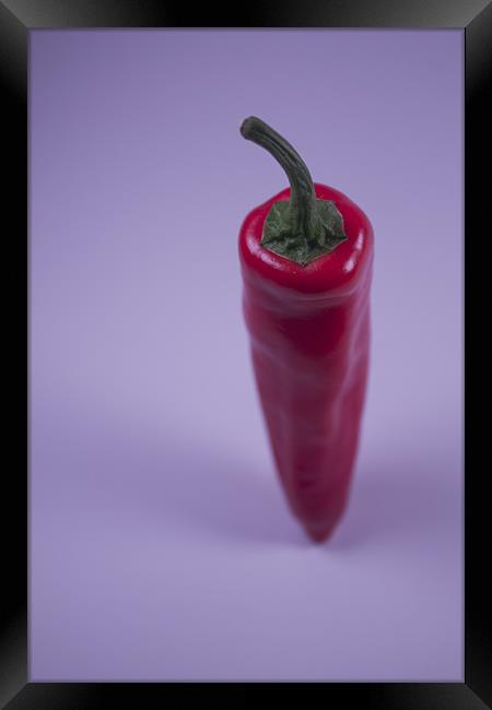 A Single Chilli Framed Print by Adrian Wilkins