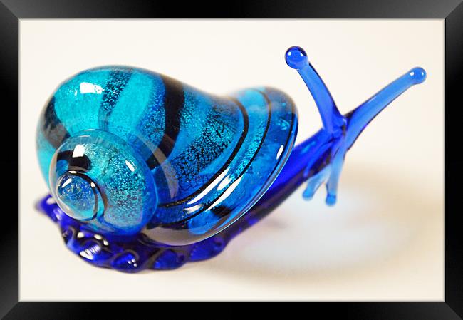 Blue Glass Snail Framed Print by Adrian Wilkins