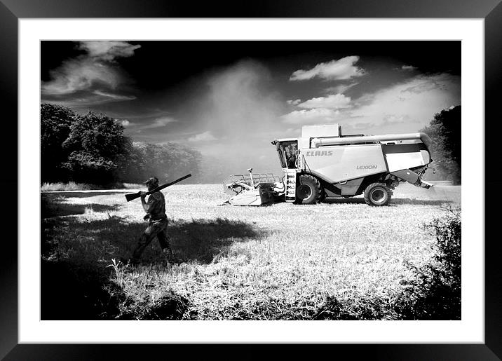  Harvest Shoot Framed Mounted Print by Adrian Wilkins