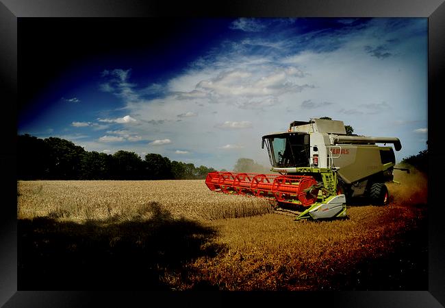  Essex Harvest Framed Print by Adrian Wilkins