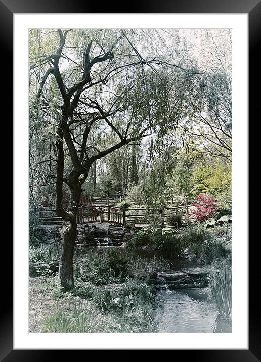 Peaceful Garden Framed Mounted Print by Fraser Hetherington