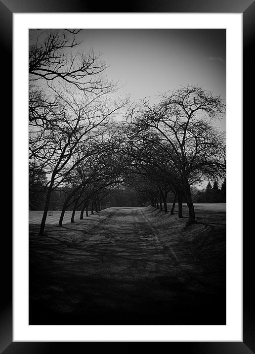 Tree Archway Framed Mounted Print by Fraser Hetherington