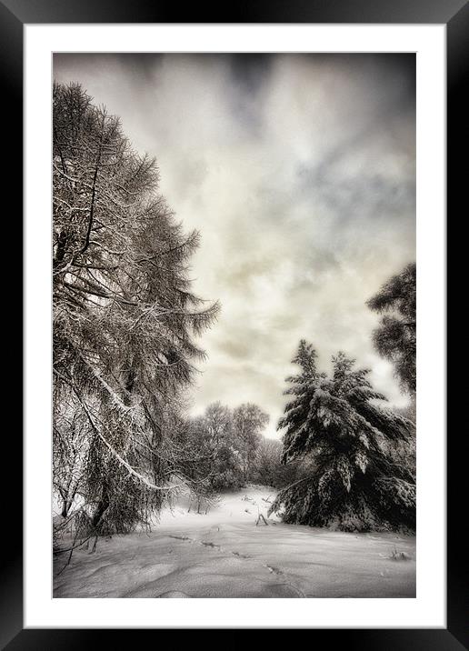 Winters Woodland Walk Framed Mounted Print by Fraser Hetherington