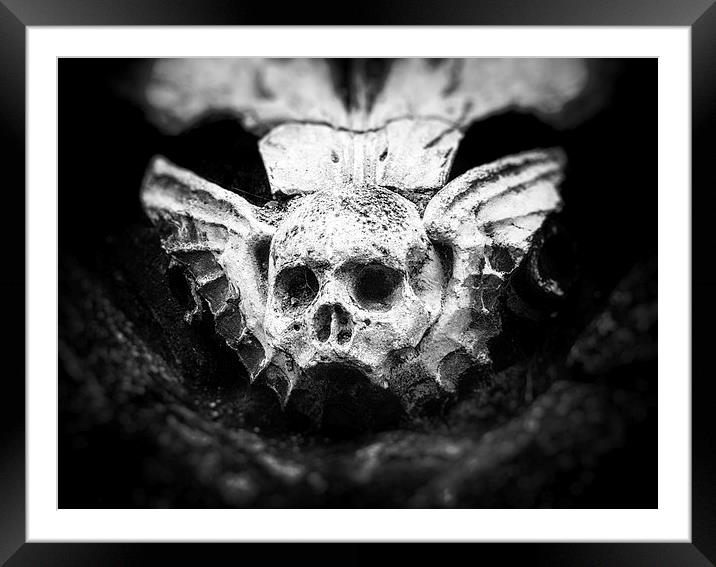 Skull Sculpture Framed Mounted Print by Fraser Hetherington