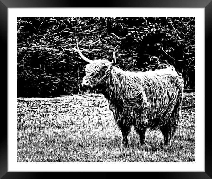 Highland Cow Carved Framed Mounted Print by Fraser Hetherington