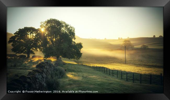 Misty Morning in Perthshire Framed Print by Fraser Hetherington