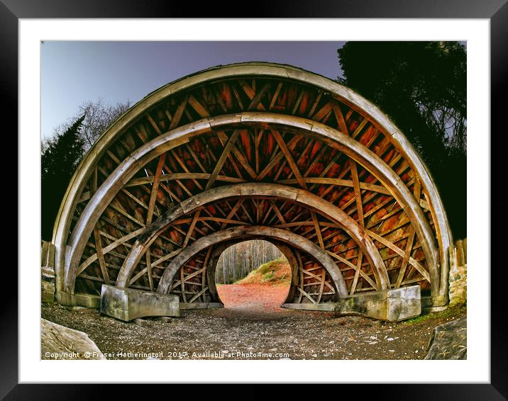 Pinecone Point Framed Mounted Print by Fraser Hetherington