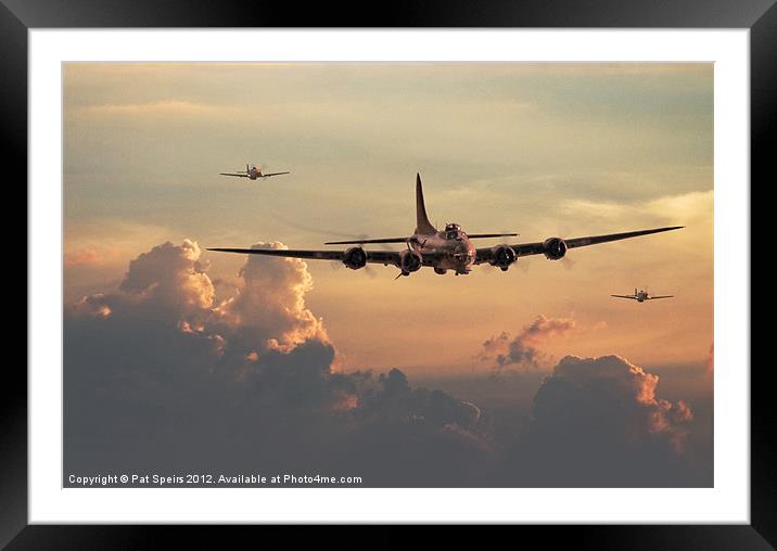 B17 - with little friends Framed Mounted Print by Pat Speirs
