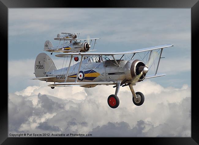 Gloster Gladiator Framed Print by Pat Speirs