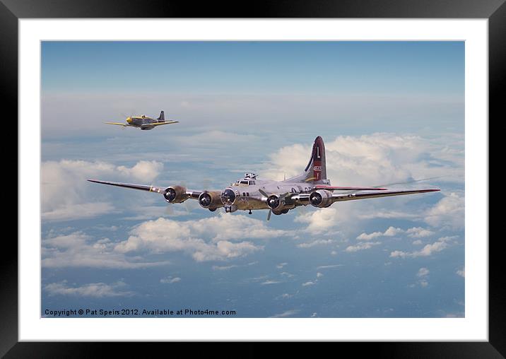 B17 - Little Friend Framed Mounted Print by Pat Speirs