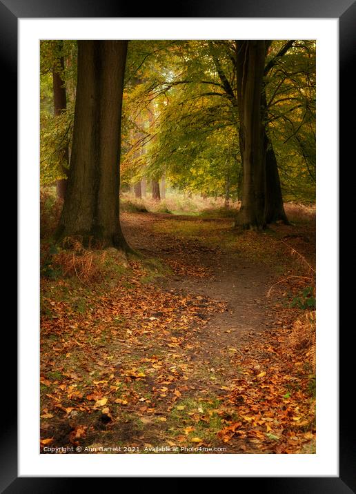 Autumn Walk Cannock Chase Framed Mounted Print by Ann Garrett