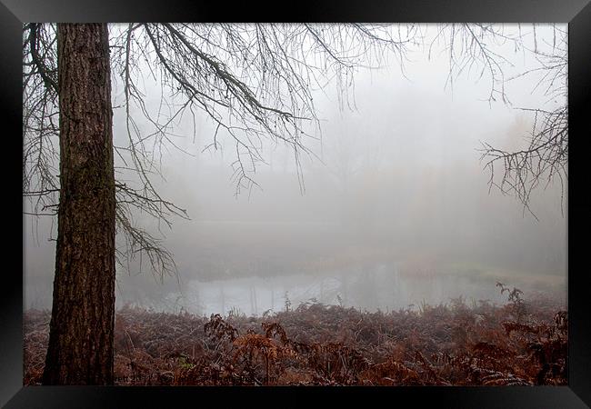 Misty Lake Framed Print by Ann Garrett