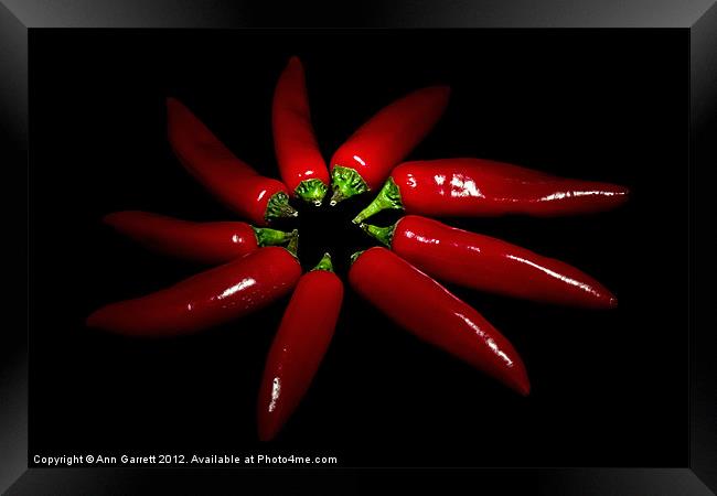 Red Chillie Peppers Framed Print by Ann Garrett