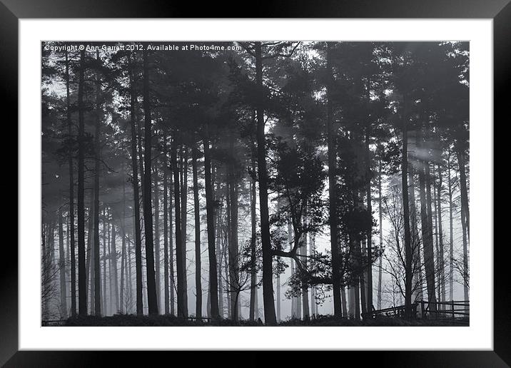 Woodland Sunrise - mono Framed Mounted Print by Ann Garrett
