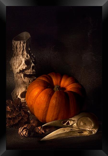 Halloween Still Life Framed Print by Ann Garrett
