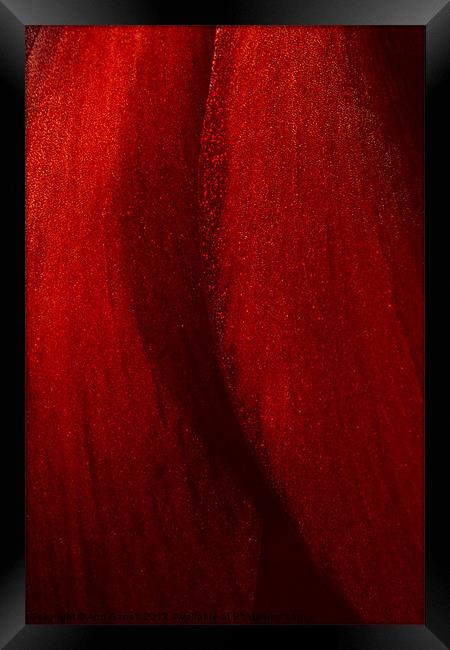 Red Amaryllis Abstract 1 Framed Print by Ann Garrett