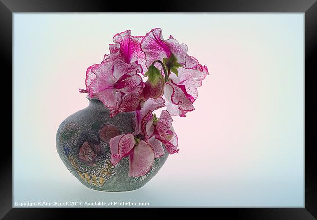 Vase of Pretty Pink Sweet Peas 2 Framed Print by Ann Garrett