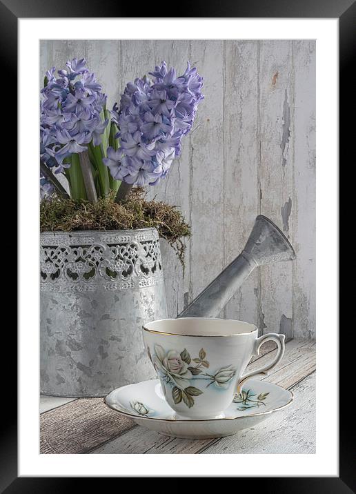 Hyacinth Teatime Framed Mounted Print by Ann Garrett