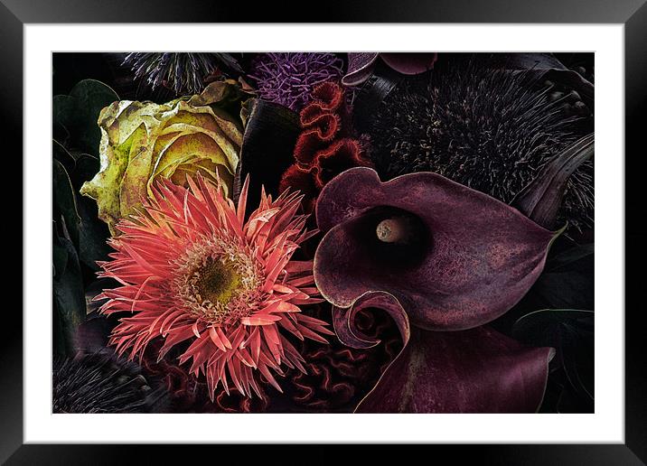 Dark Bouquet Framed Mounted Print by Ann Garrett