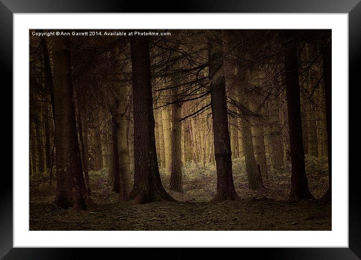 Deep in the Forest Framed Mounted Print by Ann Garrett